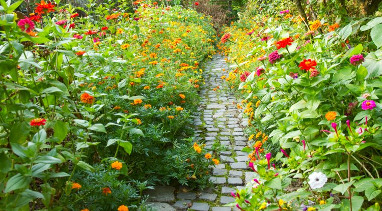 Cultivating the Garden of Our Souls