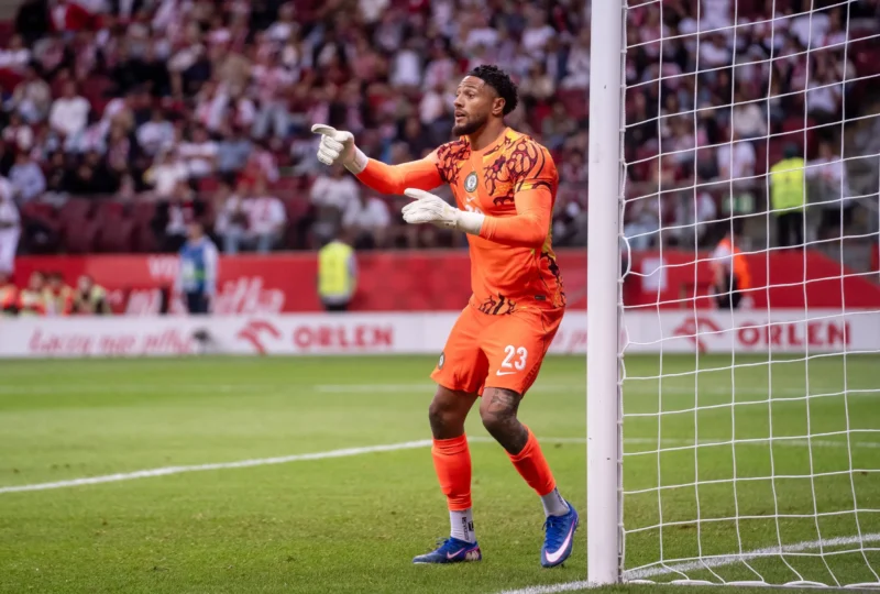 AFCON 2027Q: Chelle Gives Reason For Okoye’s Super Eagles Absence