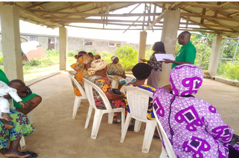 Financial Inclusion and Climate Resilience: Insights from rural women farmers in Nigeria