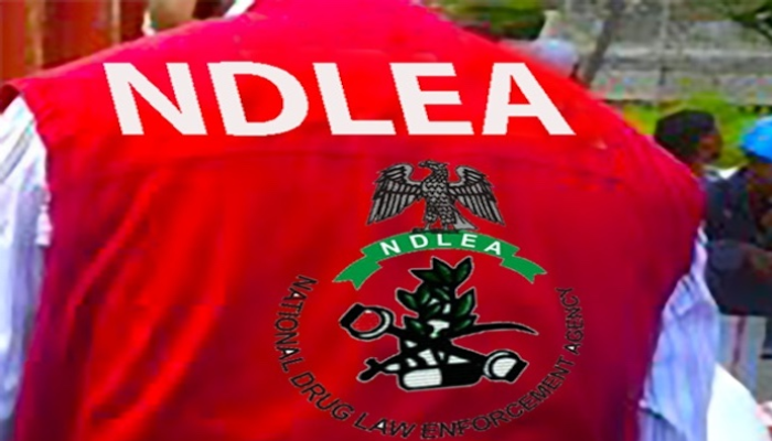 NDLEA nabs 68, seizes hard drugs, destroys four plantations in Edo
