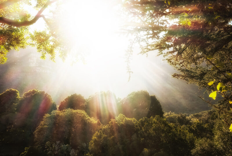 Where was the Garden of Eden?