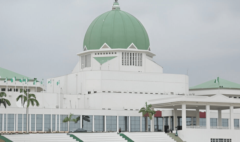 Xenophobia: Nigerian lawmakers boycott SA-hosted legislative conferences, urge state assemblies to follow suit