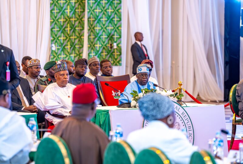 NEC endorses 90-day plan to ease cost of living for Nigerians, but no specific details yet
